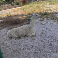 фото из отзыва ID 2338764