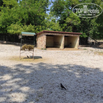 фото из отзыва ID 2338764