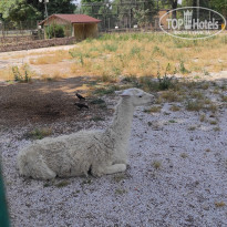 фото из отзыва ID 2338764