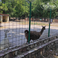 фото из отзыва ID 2338764