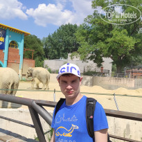 фото из отзыва ID 2338764