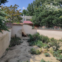 фото из отзыва ID 2338764