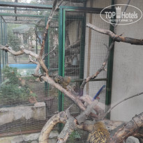 фото из отзыва ID 2338764