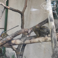 фото из отзыва ID 2338764