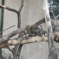 фото из отзыва ID 2338764