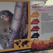 фото из отзыва ID 2338764