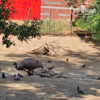 фото из отзыва ID 2338764