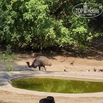 фото из отзыва ID 2338764