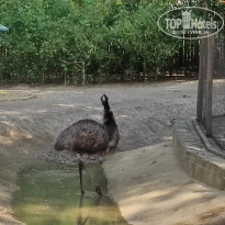 фото из отзыва ID 2338764