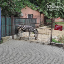 фото из отзыва ID 2338764