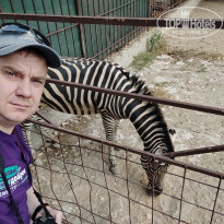 фото из отзыва ID 2338764