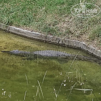 фото из отзыва ID 2338764