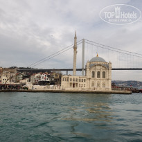 фото из отзыва ID 2338768