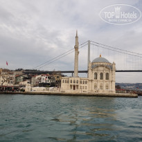 фото из отзыва ID 2338768