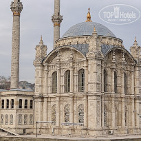 фото из отзыва ID 2338768