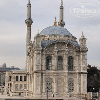 фото из отзыва ID 2338768