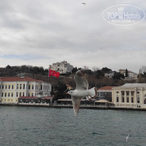 фото из отзыва ID 2338768