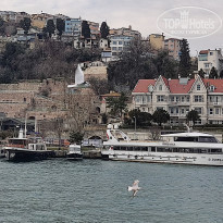 фото из отзыва ID 2338768