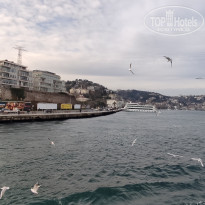 фото из отзыва ID 2338768