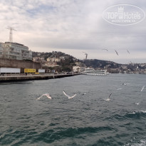 фото из отзыва ID 2338768