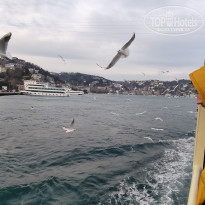 фото из отзыва ID 2338768