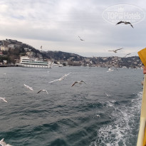 фото из отзыва ID 2338768