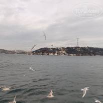 фото из отзыва ID 2338768