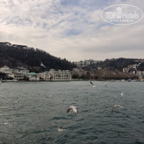 фото из отзыва ID 2338768