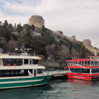 фото из отзыва ID 2338768