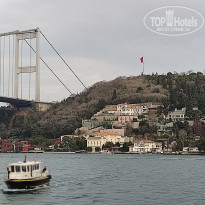 фото из отзыва ID 2338768