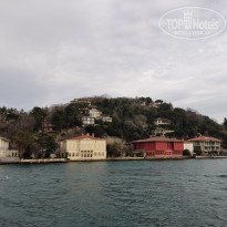 фото из отзыва ID 2338768