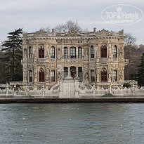 фото из отзыва ID 2338768