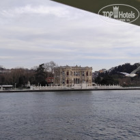 фото из отзыва ID 2338768