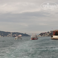 фото из отзыва ID 2338768