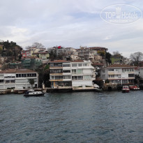 фото из отзыва ID 2338768