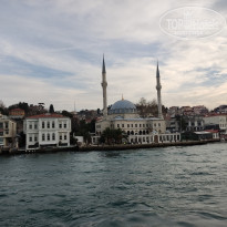 фото из отзыва ID 2338768