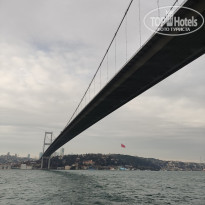 фото из отзыва ID 2338768