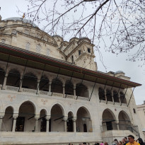 фото из отзыва ID 2338768