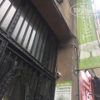 фото из отзыва ID 2338771