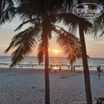 фото из отзыва ID 2338934