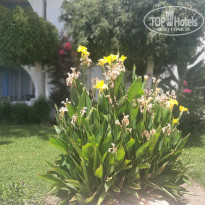 фото из отзыва ID 2338983