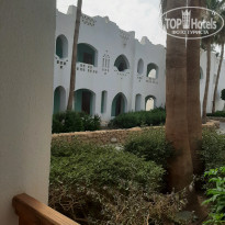 фото из отзыва ID 2339056