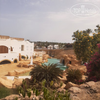 фото из отзыва ID 2339056