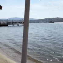 фото из отзыва ID 2339108