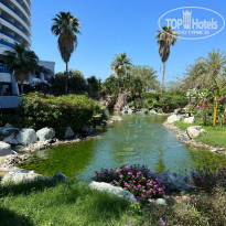 фото из отзыва ID 2339259