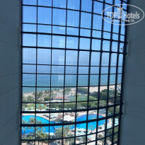 фото из отзыва ID 2339259