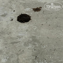 фото из отзыва ID 2339337