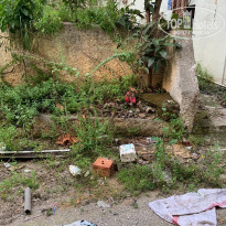 фото из отзыва ID 2339257