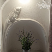 фото из отзыва ID 2339579