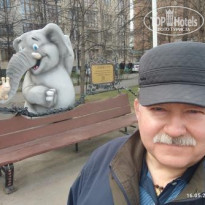 фото из отзыва ID 2339429